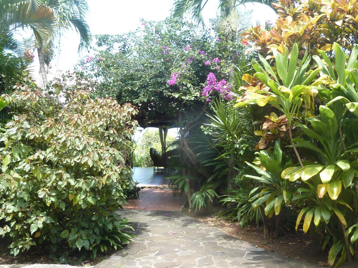 Chambre D'Hotes "Villa Rayon Vert" Deshaies Exterior photo